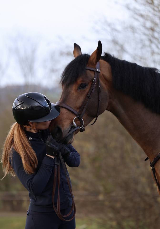 Castrone Zangersheide In vendita 2021 Baio ,  COSTELLO