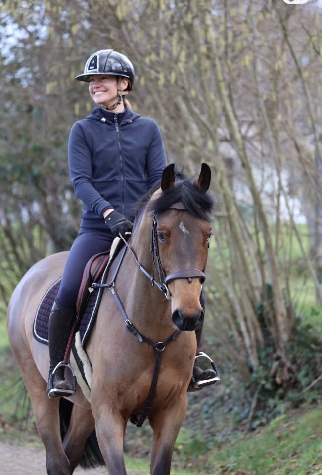 Castrone Zangersheide In vendita 2021 Baio ,  COSTELLO