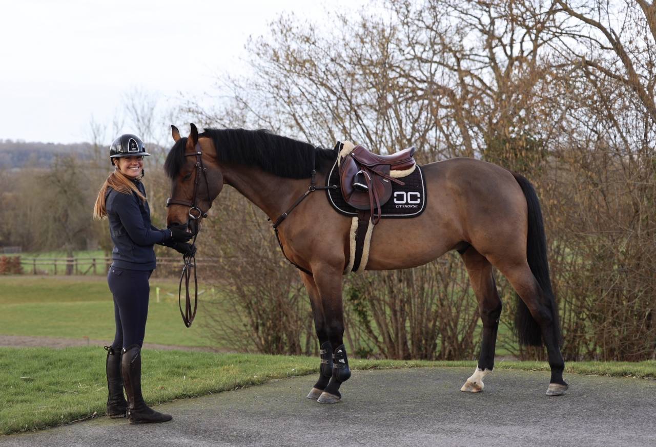 Castrone Zangersheide In vendita 2021 Baio ,  COSTELLO