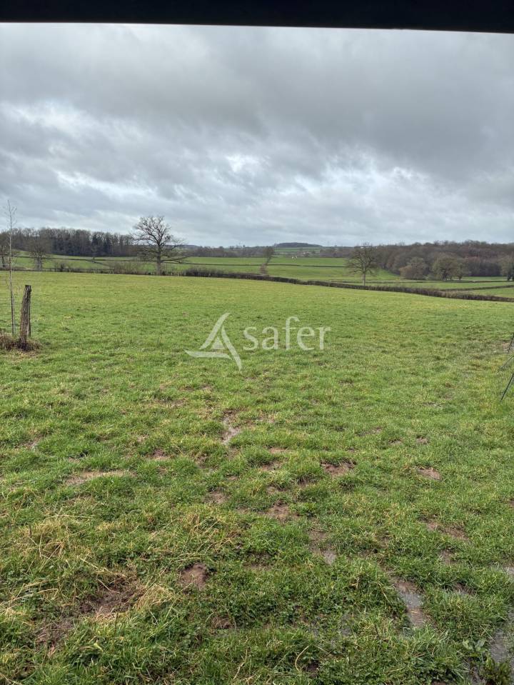 Propriet&agrave; equestre In vendita Sa&ocirc;ne-et-Loire