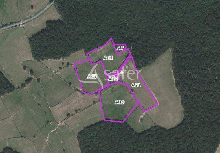 Propriet&agrave; equestre In vendita Sa&ocirc;ne-et-Loire