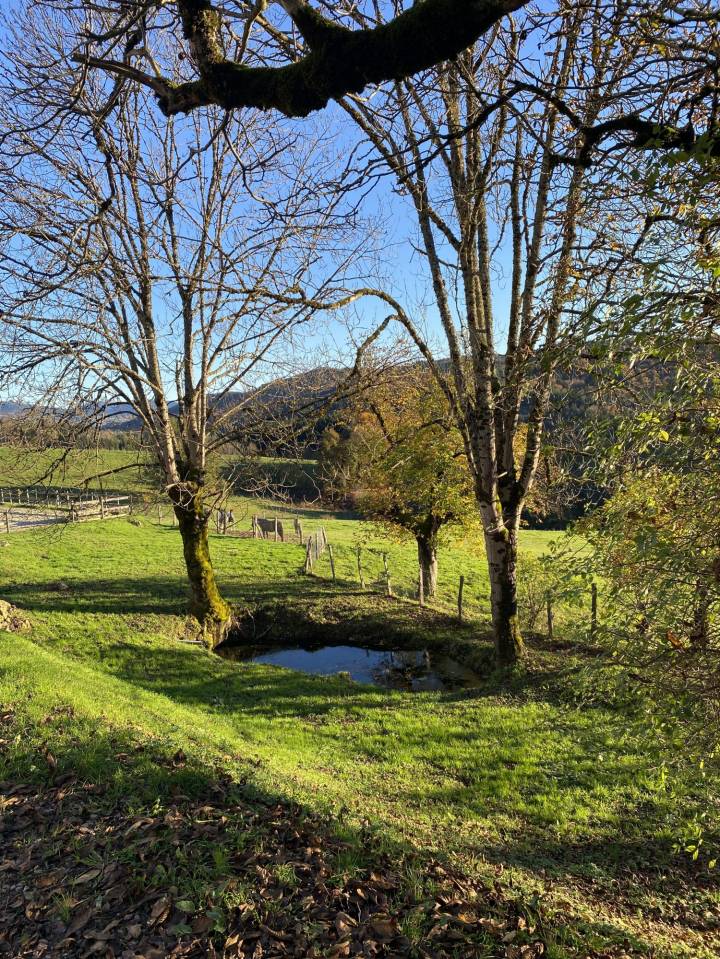 Alloggio equestre In vendita Puy-de-D&ocirc;me