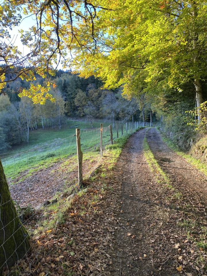 Alloggio equestre In vendita Puy-de-D&ocirc;me