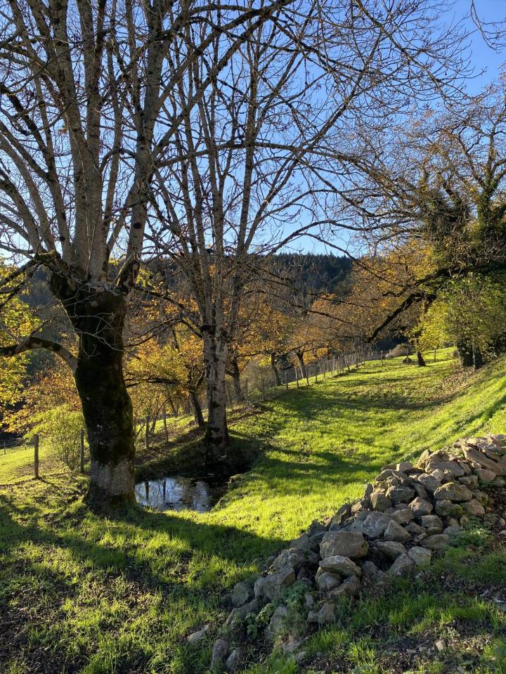Alloggio equestre In vendita Puy-de-D&ocirc;me