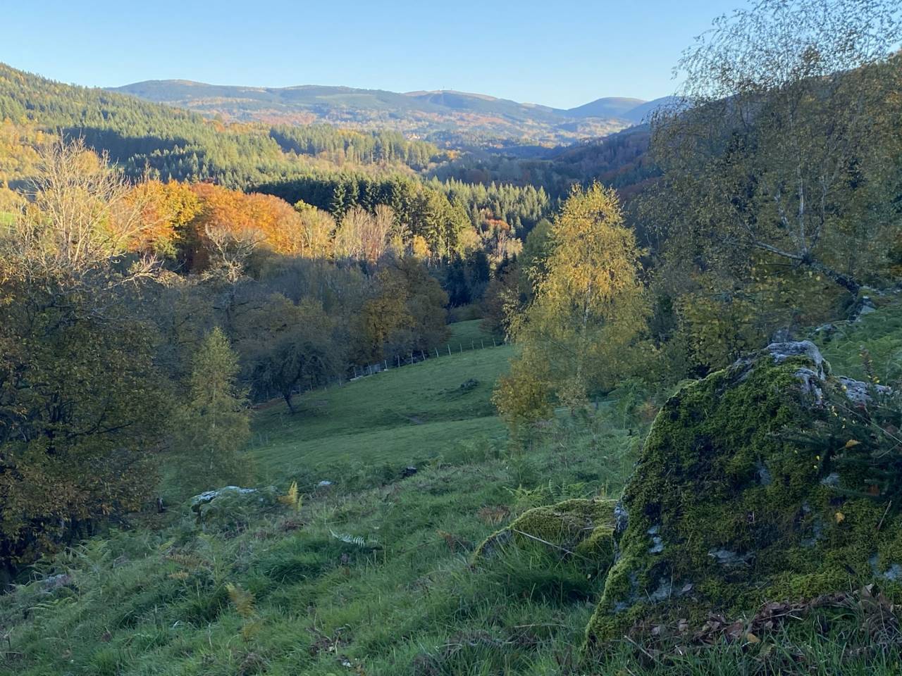 Alloggio equestre In vendita Puy-de-D&ocirc;me