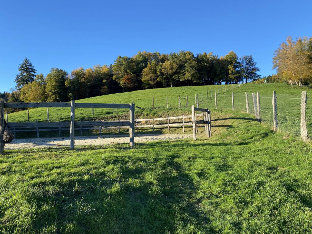 Alloggio equestre In vendita Puy-de-D&ocirc;me