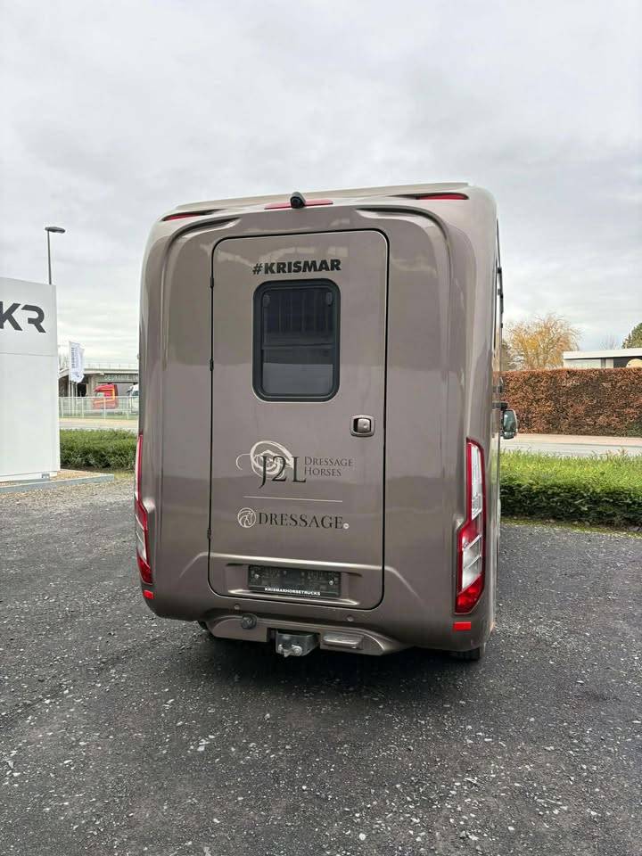 Van per Cavalli Krismar  2020 Occasione