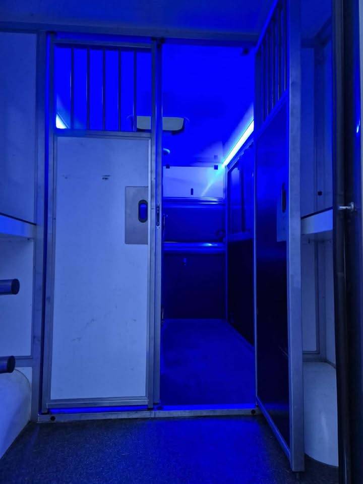 Van per Cavalli Krismar  2020 Occasione