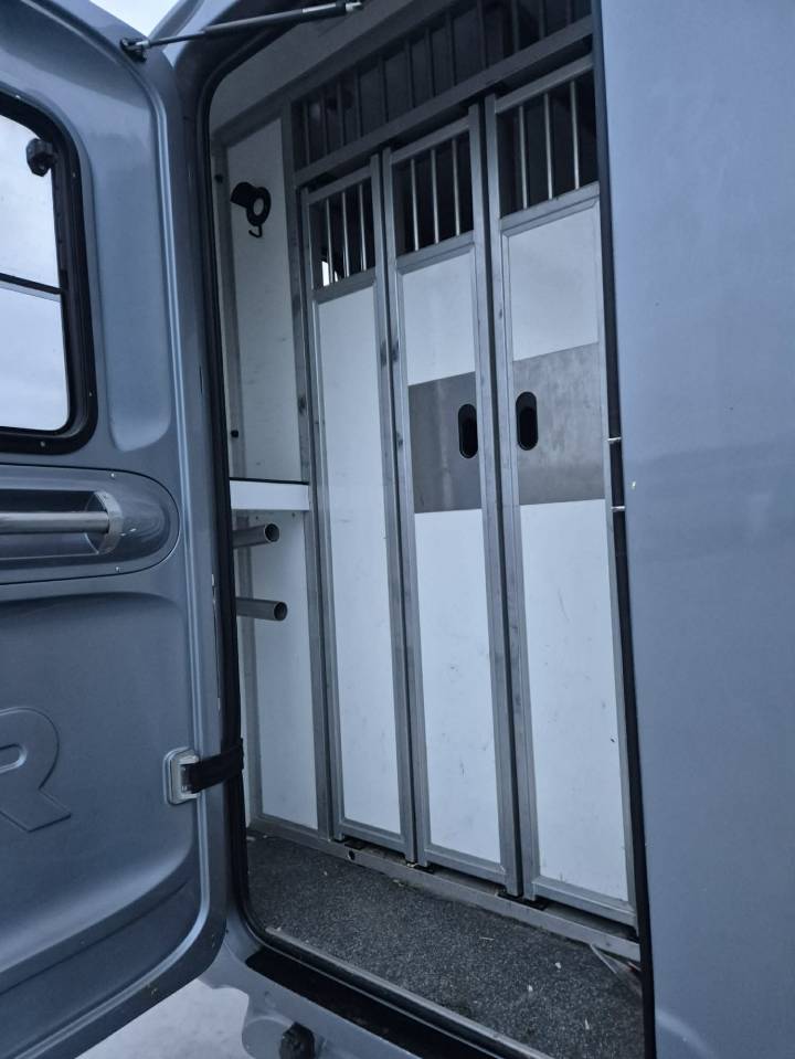 Van per Cavalli Krismar  2023 Occasione