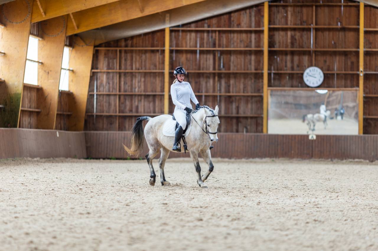 Castrone Origine non conosciuta  In vendita 2015 Grigio ,  alibi du ronval