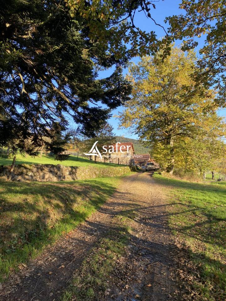 Azienda suina In vendita Puy-de-D&ocirc;me