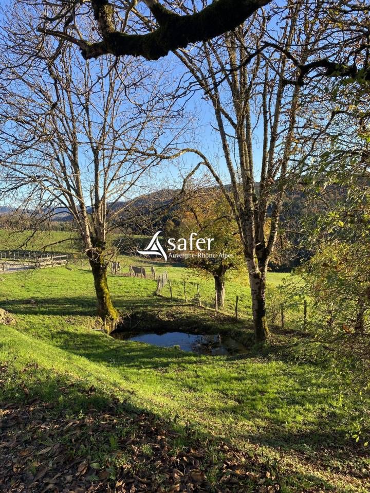 Azienda suina In vendita Puy-de-D&ocirc;me