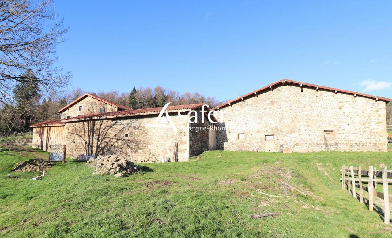 Azienda suina In vendita Puy-de-D&ocirc;me