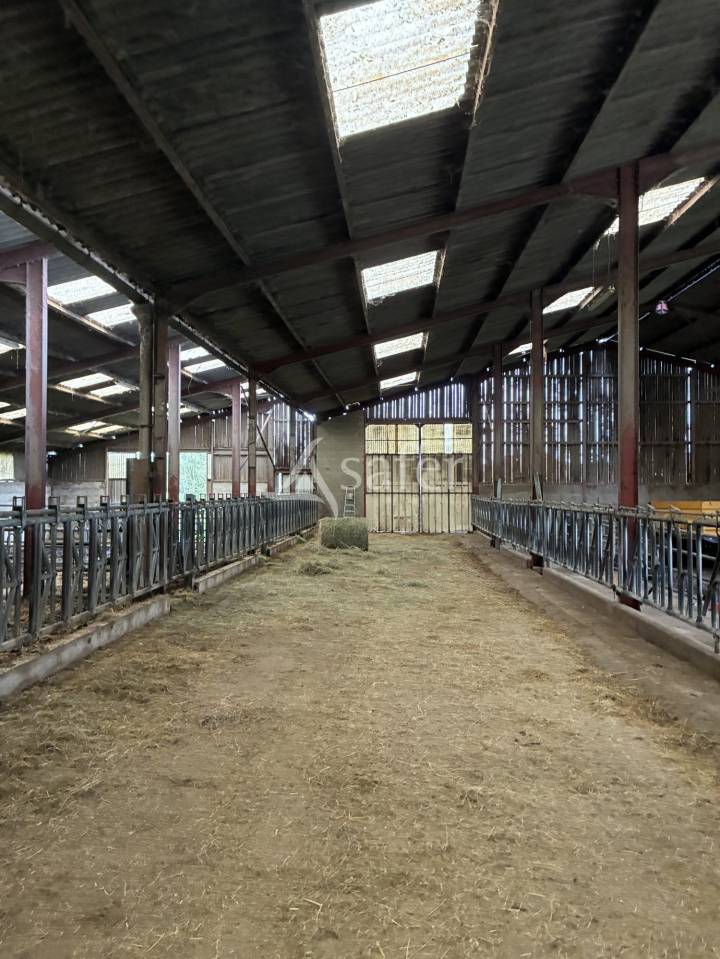 Azienda cerealicola In vendita Sa&ocirc;ne-et-Loire