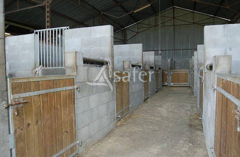 Propriet&agrave; equestre In vendita Mayenne