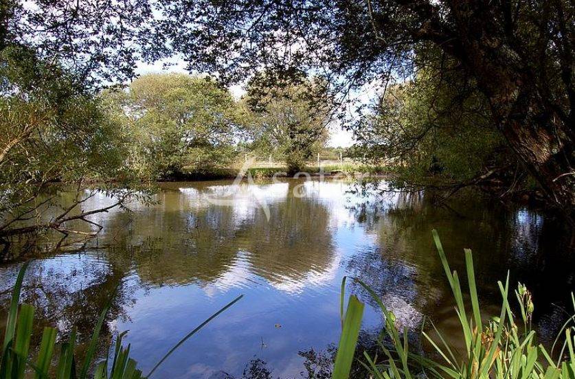 Propriet&agrave; equestre In vendita Mayenne