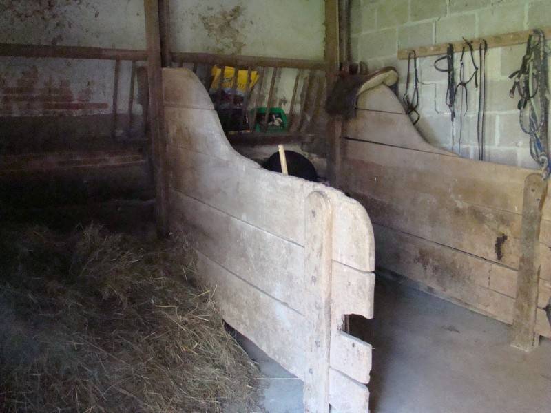 Bella dimora equestre In vendita Indre