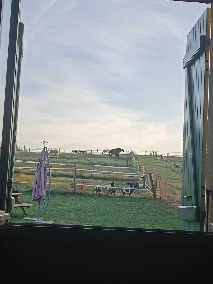 Fondo di negozio In vendita Haute-Garonne