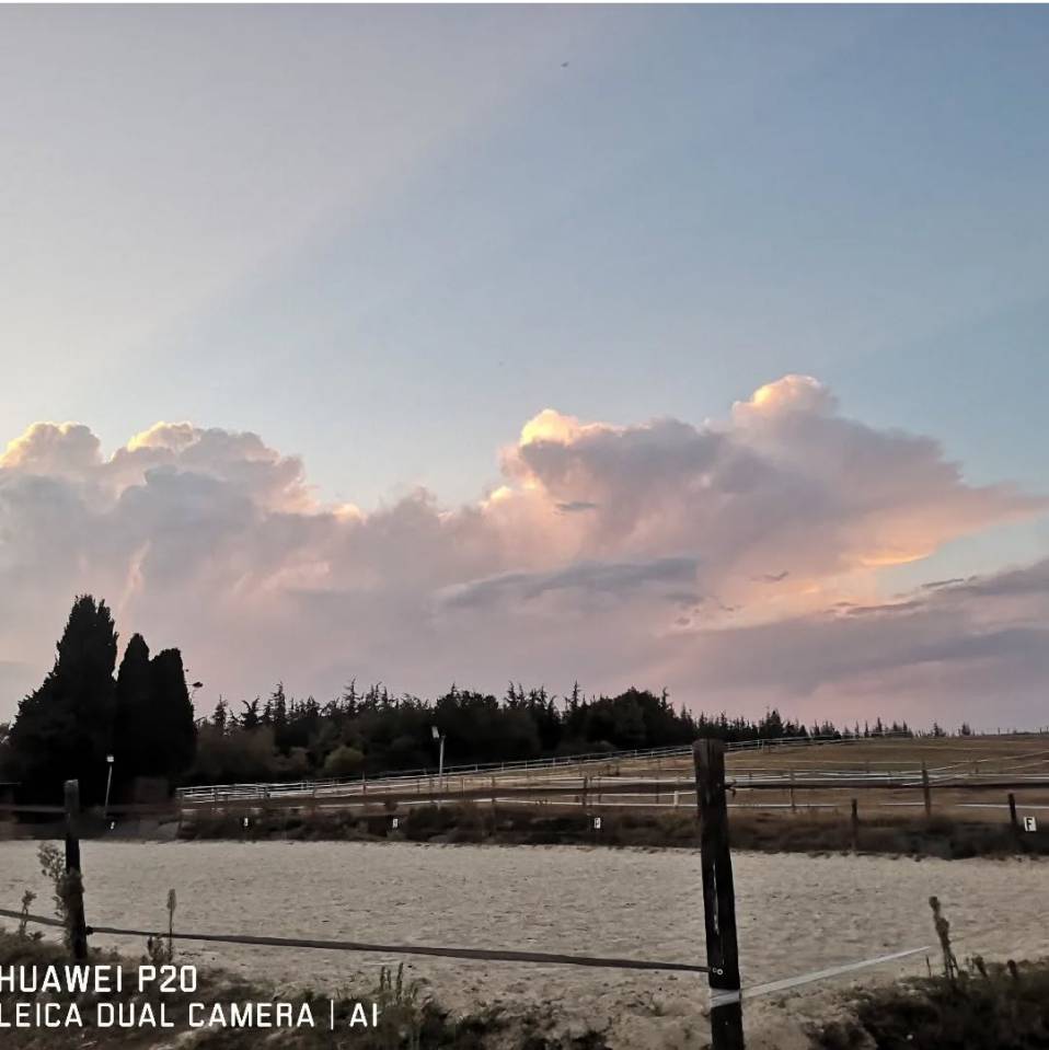 Fondo di negozio In vendita Haute-Garonne