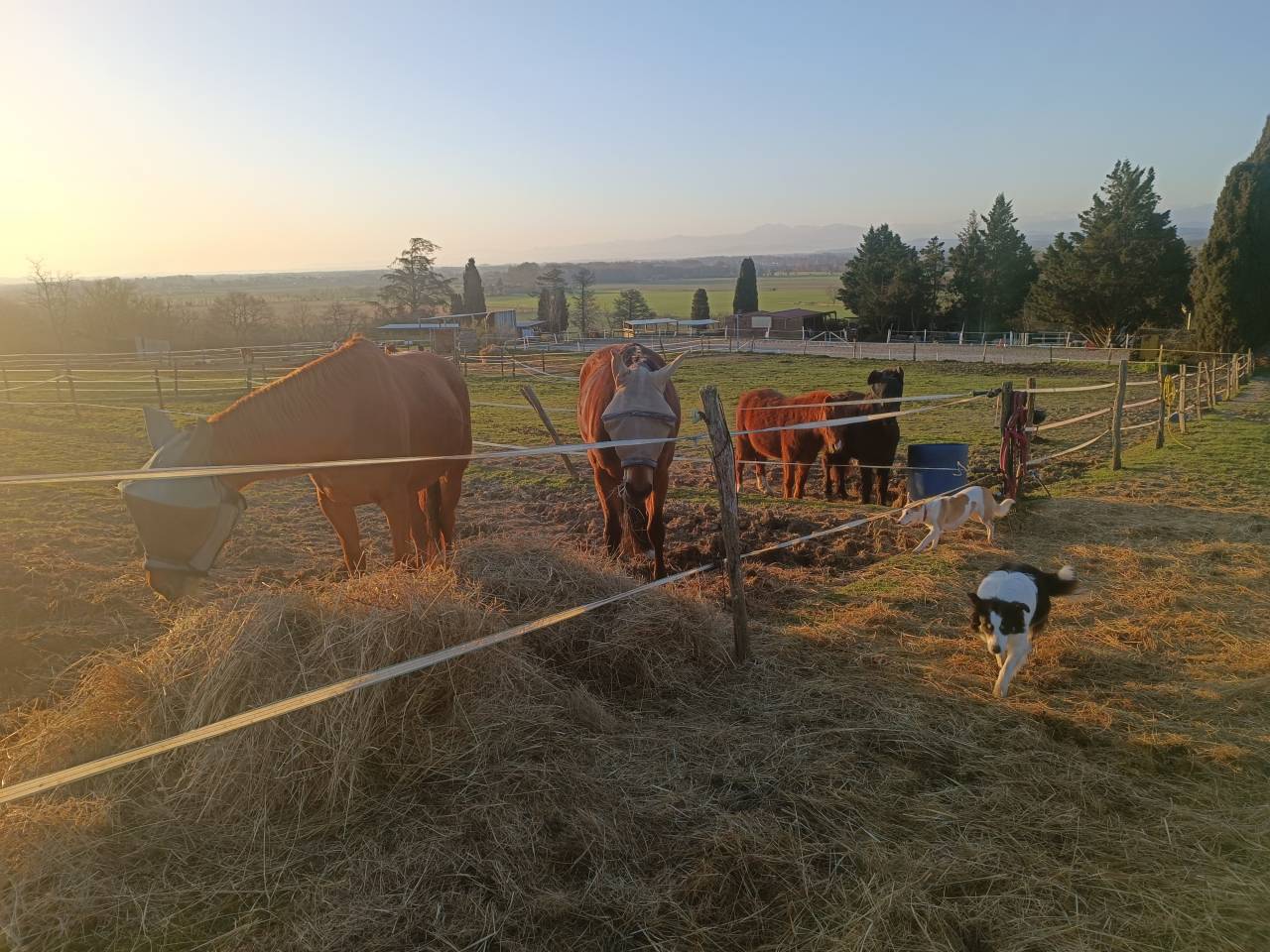 Fondo di negozio In vendita Haute-Garonne