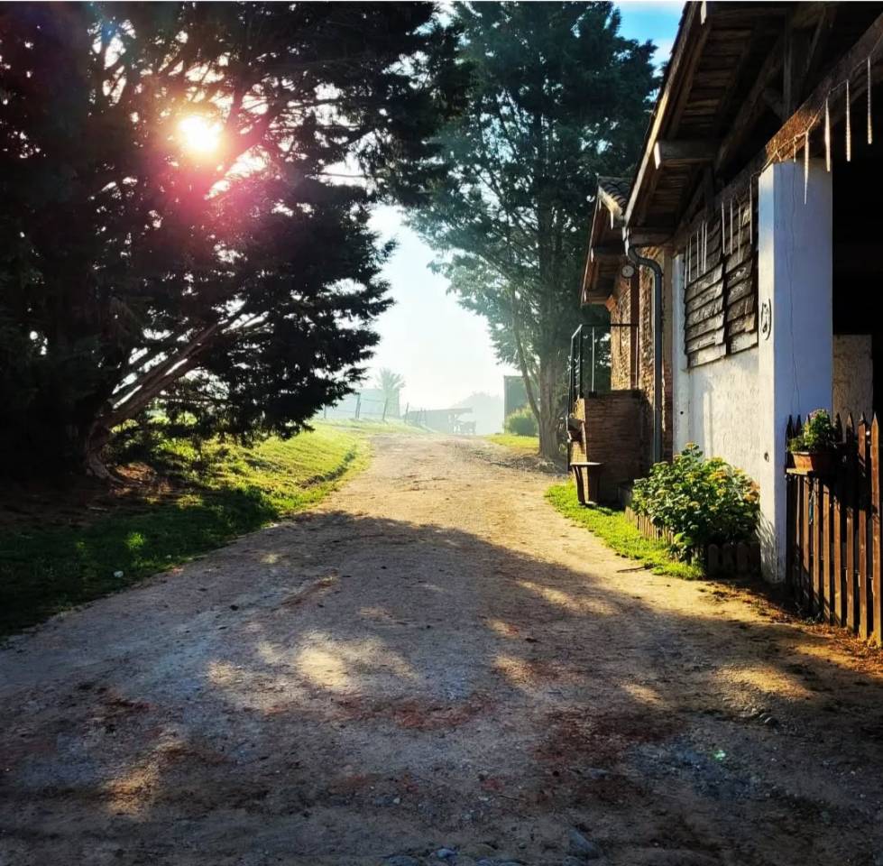 Fondo di negozio In vendita Haute-Garonne