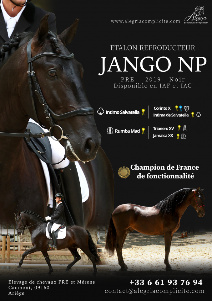 Jango NP - PRE Andaluso 2017 ,  INTIMO SALVATELLA
