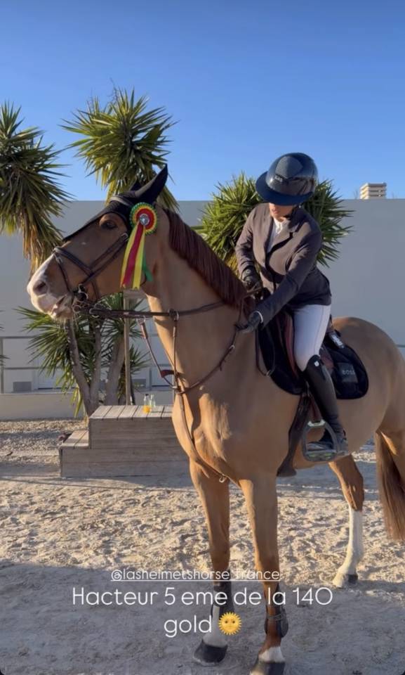 Castrone Sella Francese In vendita 2017 Sauro ,  CANDY DE NANTUEL