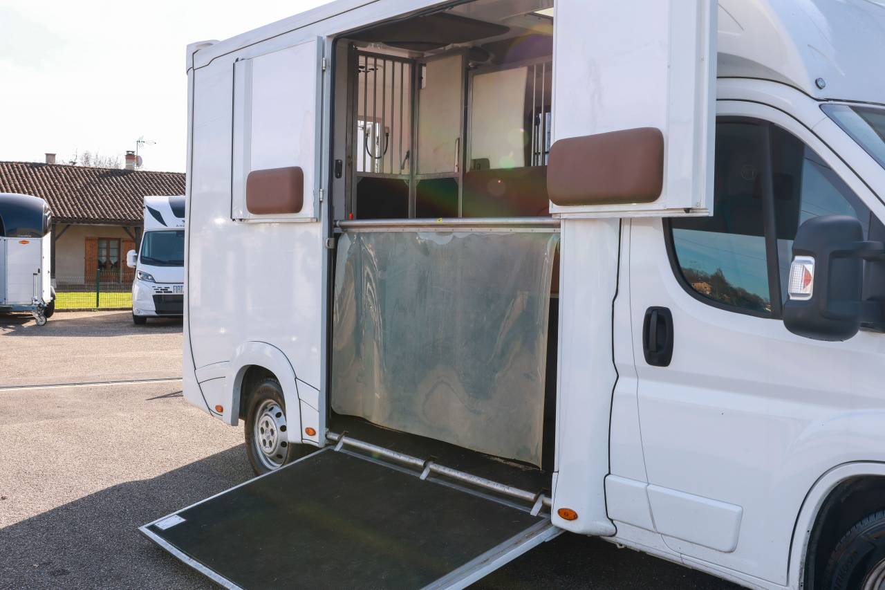 Van per Cavalli Peugeot BOXER 2021 Occasione