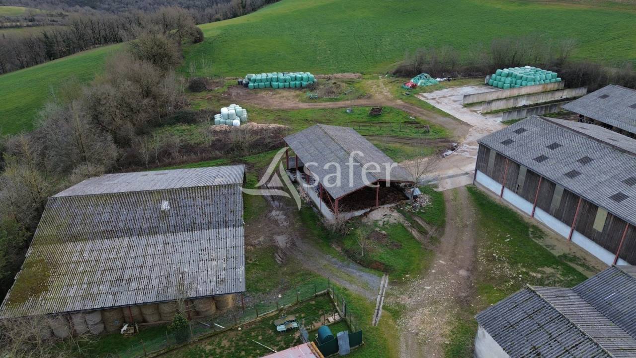 Azienda ovina In vendita tarn