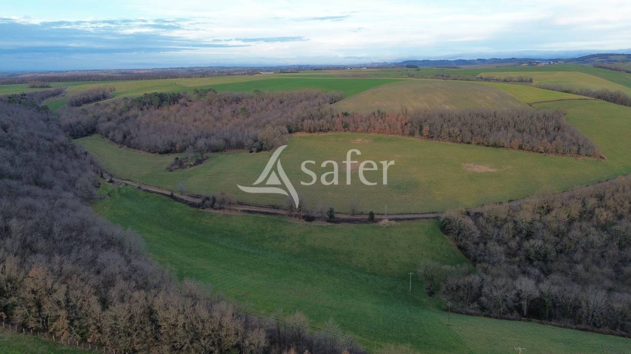 Azienda ovina In vendita tarn