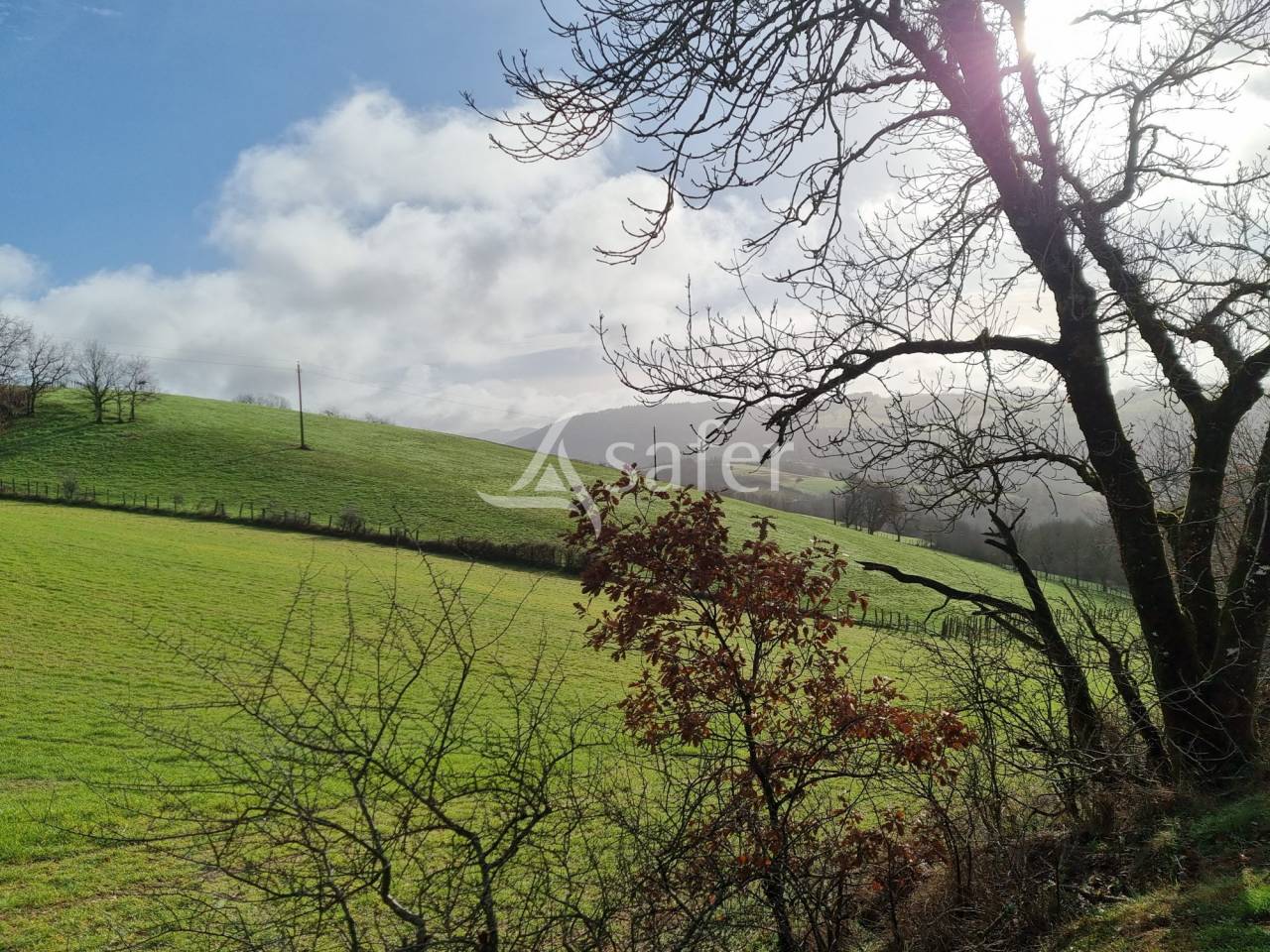 Azienda ovina In vendita tarn