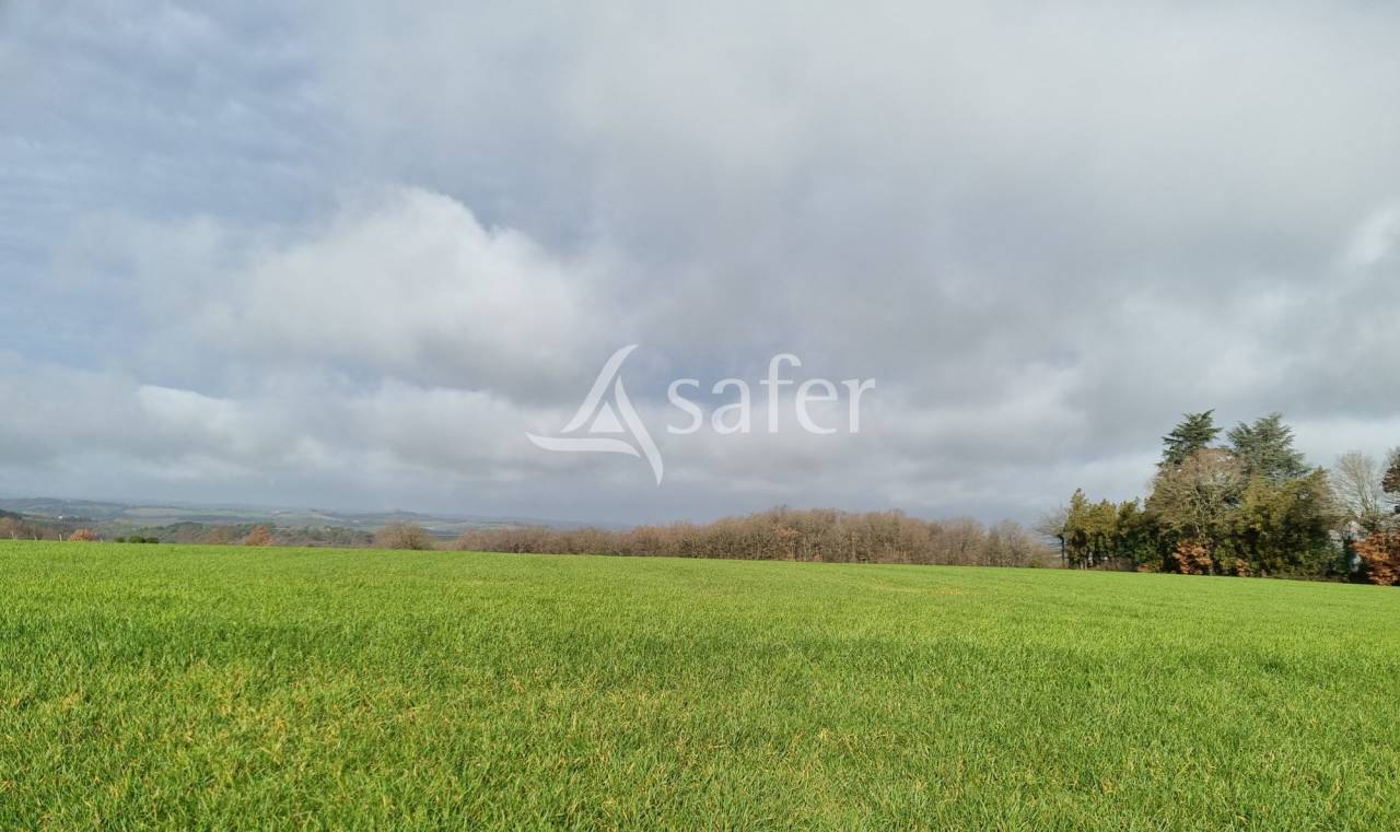 Azienda ovina In vendita tarn