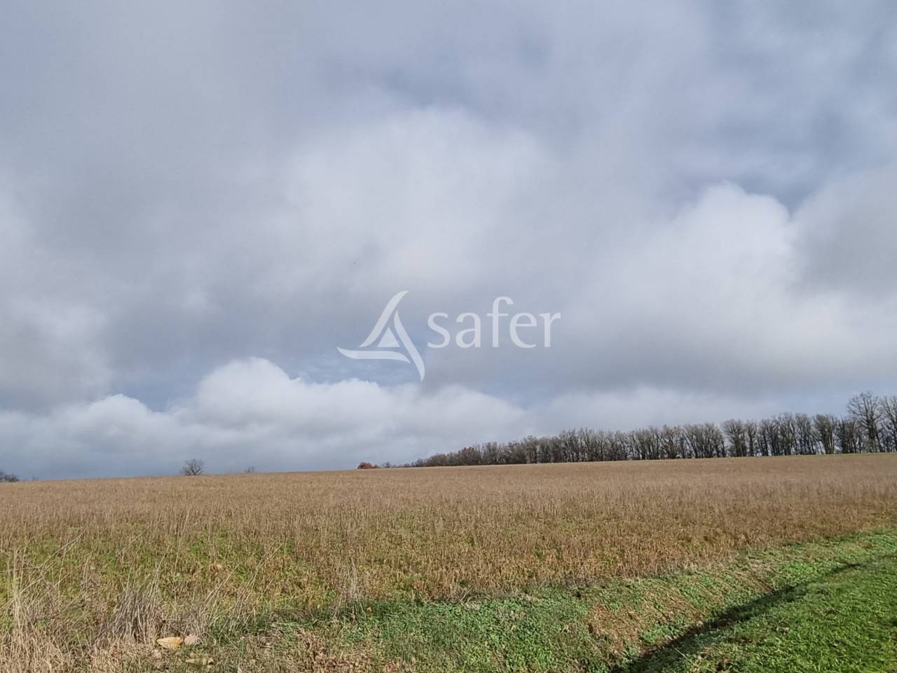 Azienda ovina In vendita tarn