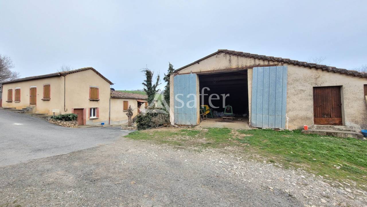 Azienda ovina In vendita tarn