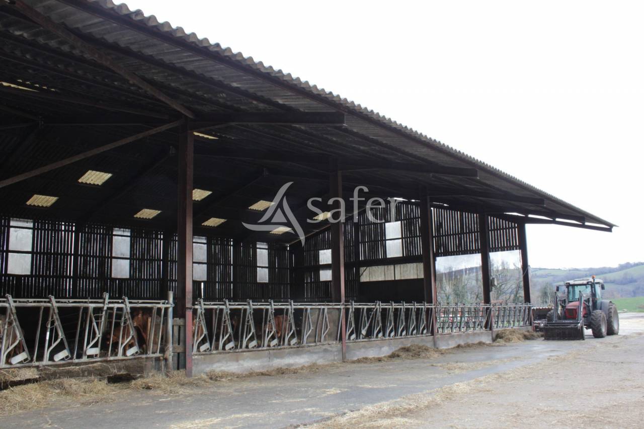 Azienda ovina In vendita tarn