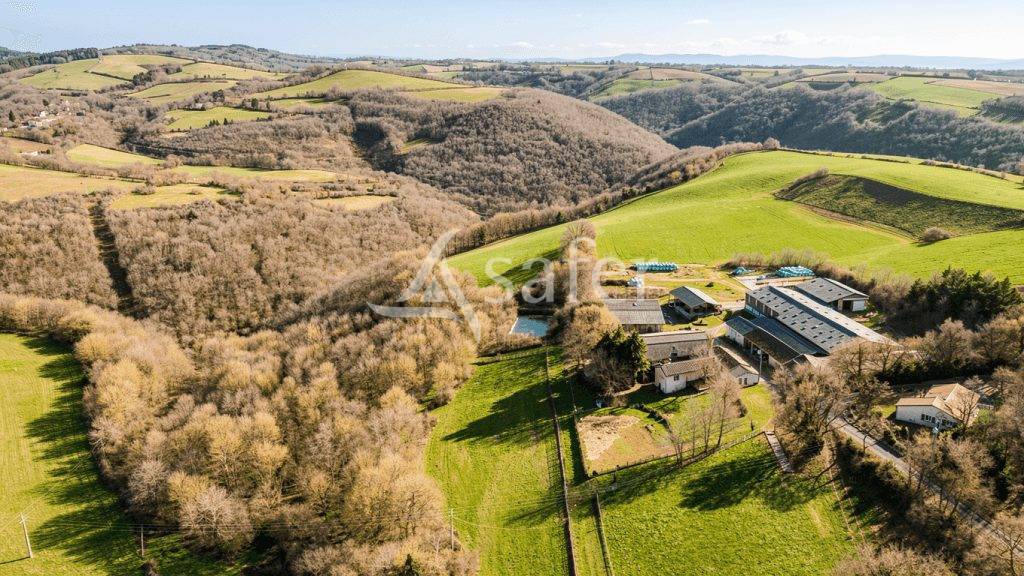 Azienda ovina In vendita tarn