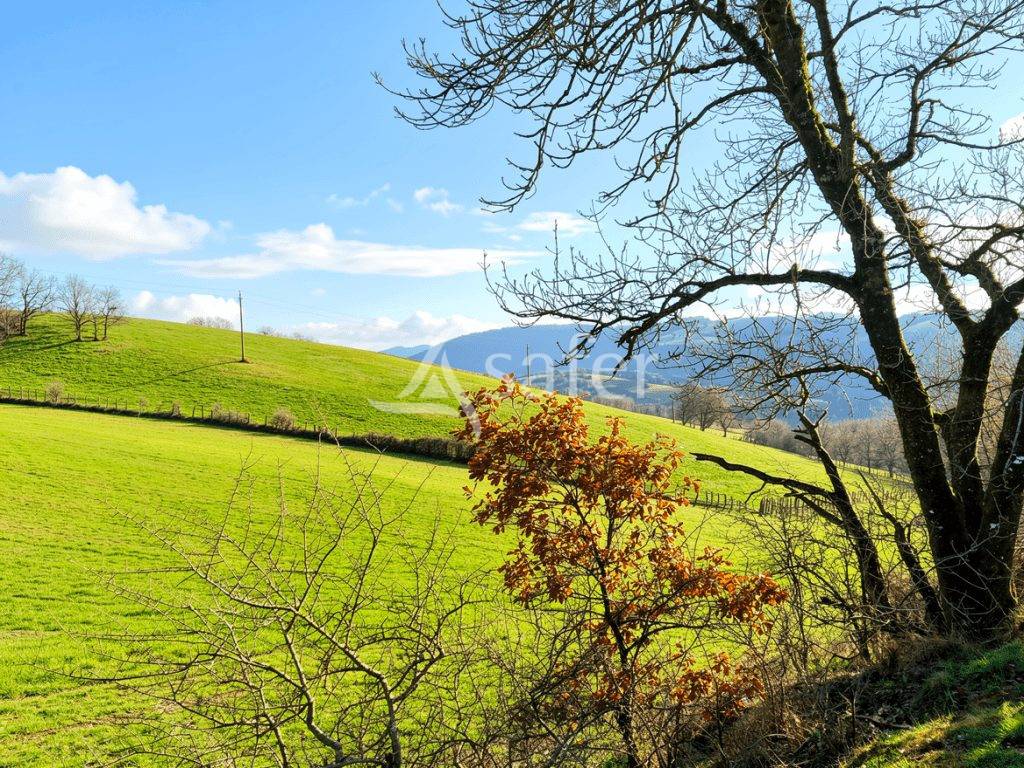 Azienda ovina In vendita tarn
