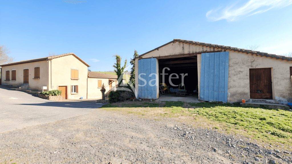 Azienda ovina In vendita tarn