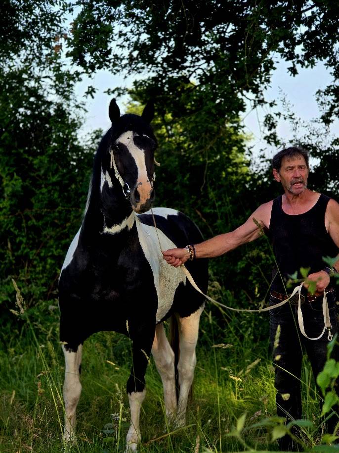 BLACK AND VHITEDEVAL - Origine non conosciuta  2011