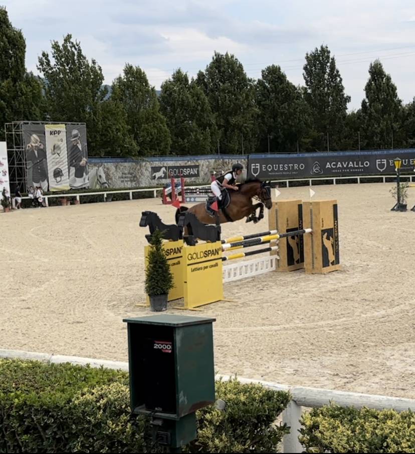 Cavallo da salto