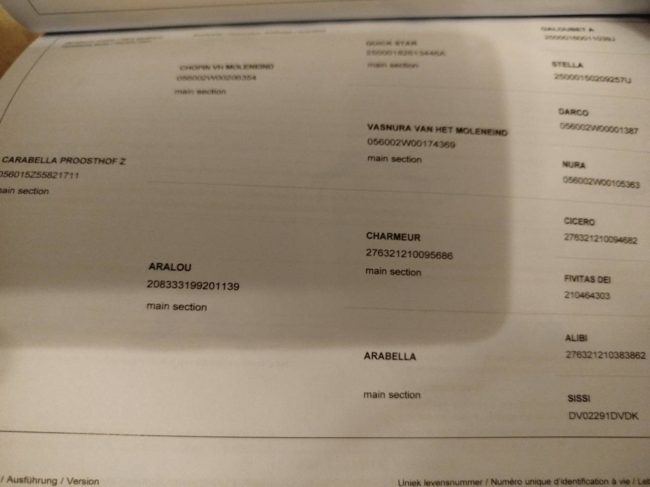 Puledra Zangersheide In vendita 2023 Baio ,  PEGASE VAN'T RUYTERSHOF