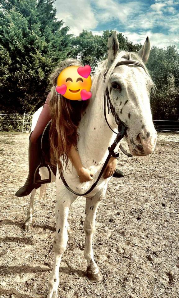 Intero Quarter Horse In vendita 2023 Appaloosa