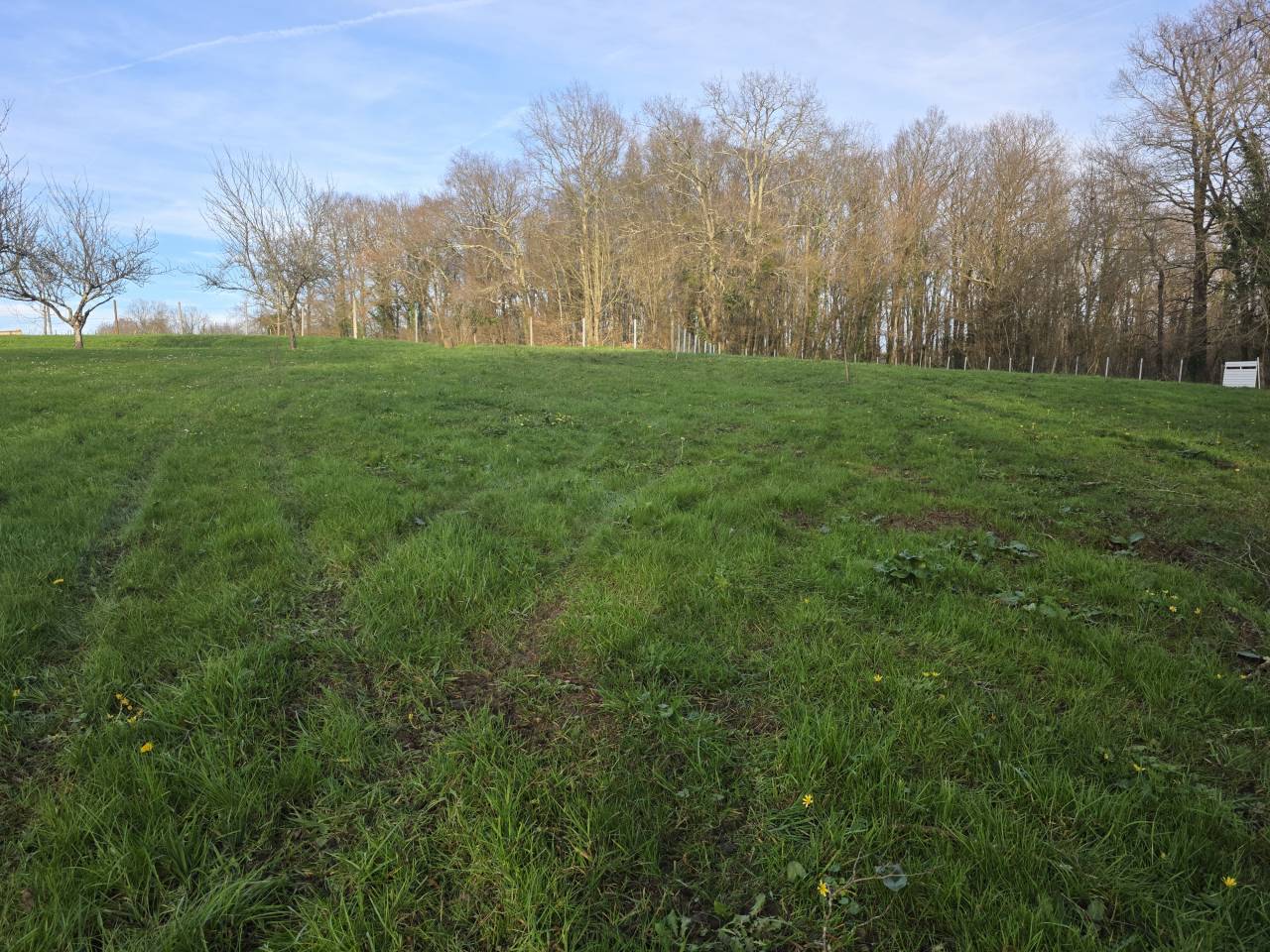 Propriet&agrave; equestre In vendita Charente-Maritime