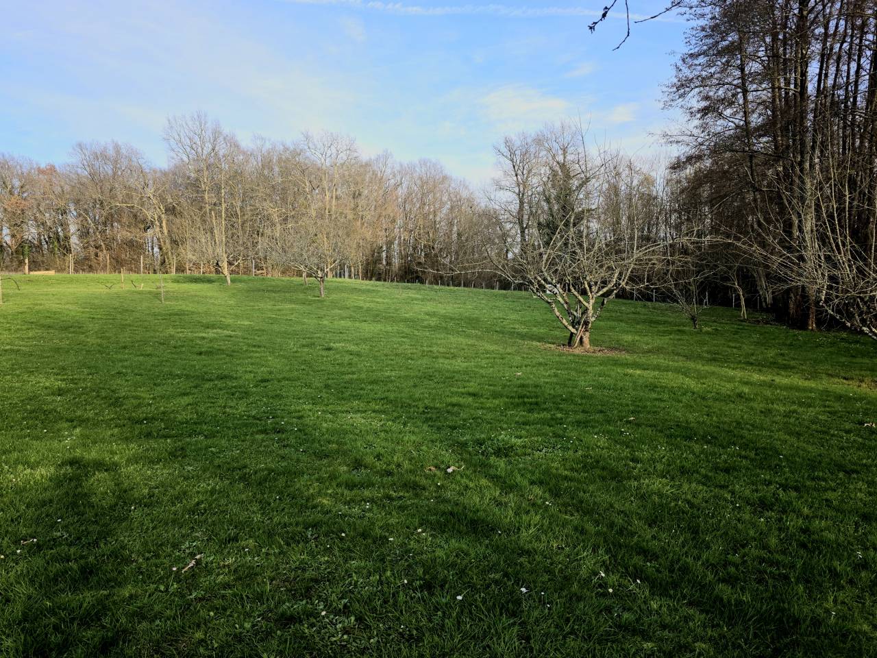 Propriet&agrave; equestre In vendita Charente-Maritime