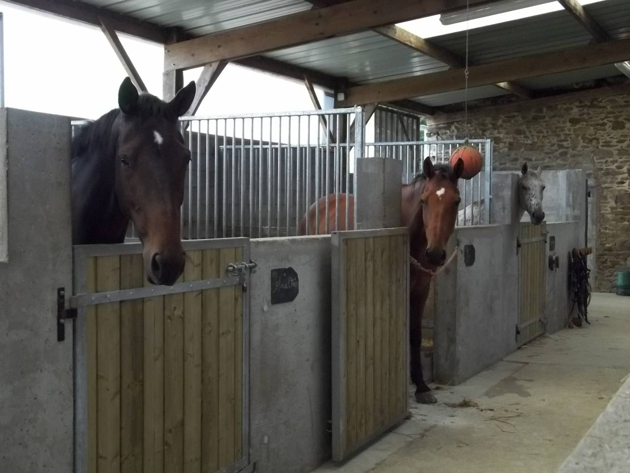 Scuderia per proprietari In vendita Ile-et-Vilaine