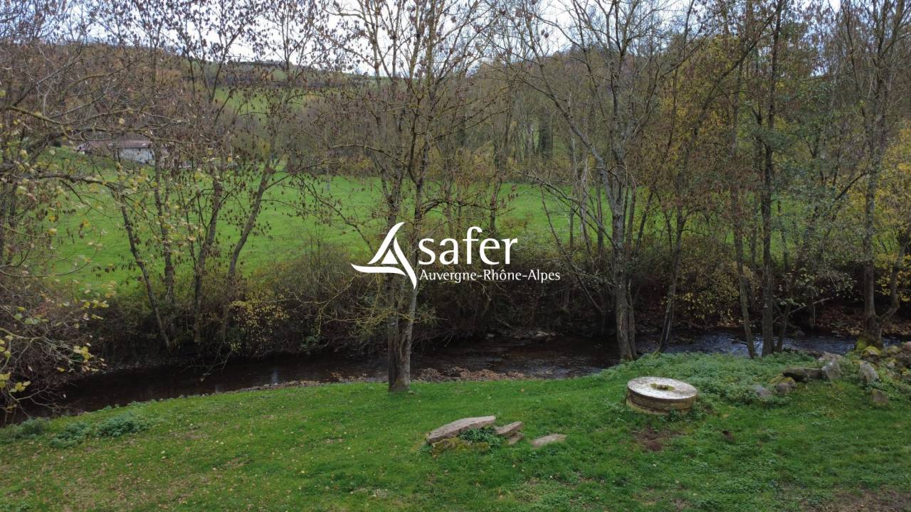 Propriet&agrave; equestre In vendita Rh&ocirc;ne