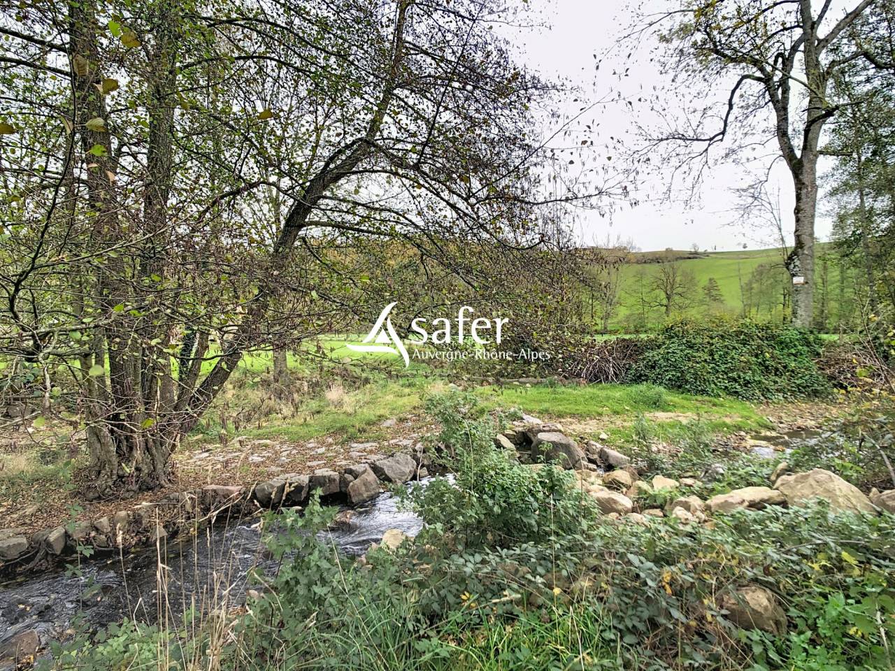 Propriet&agrave; equestre In vendita Rh&ocirc;ne