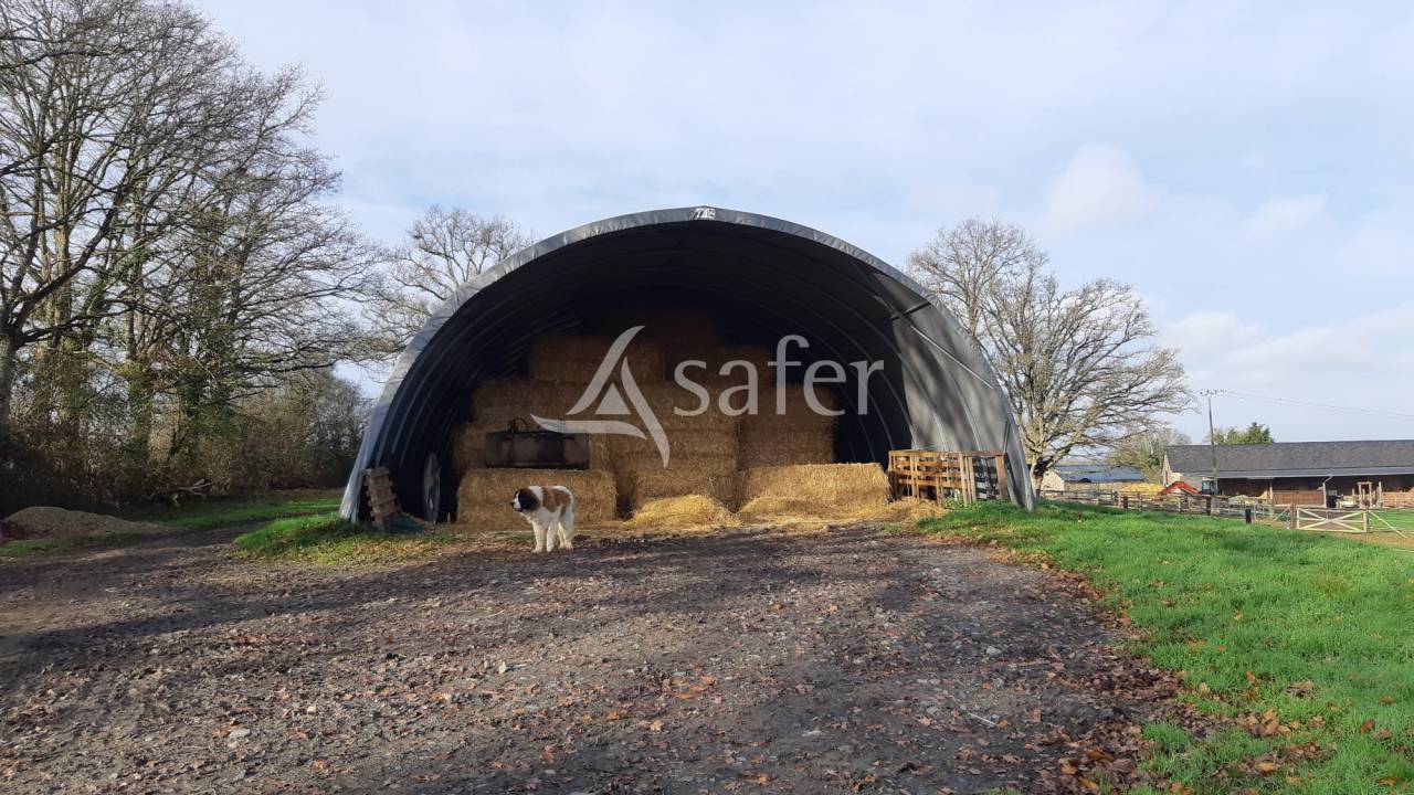 Propriet&agrave; equestre In vendita Mayenne