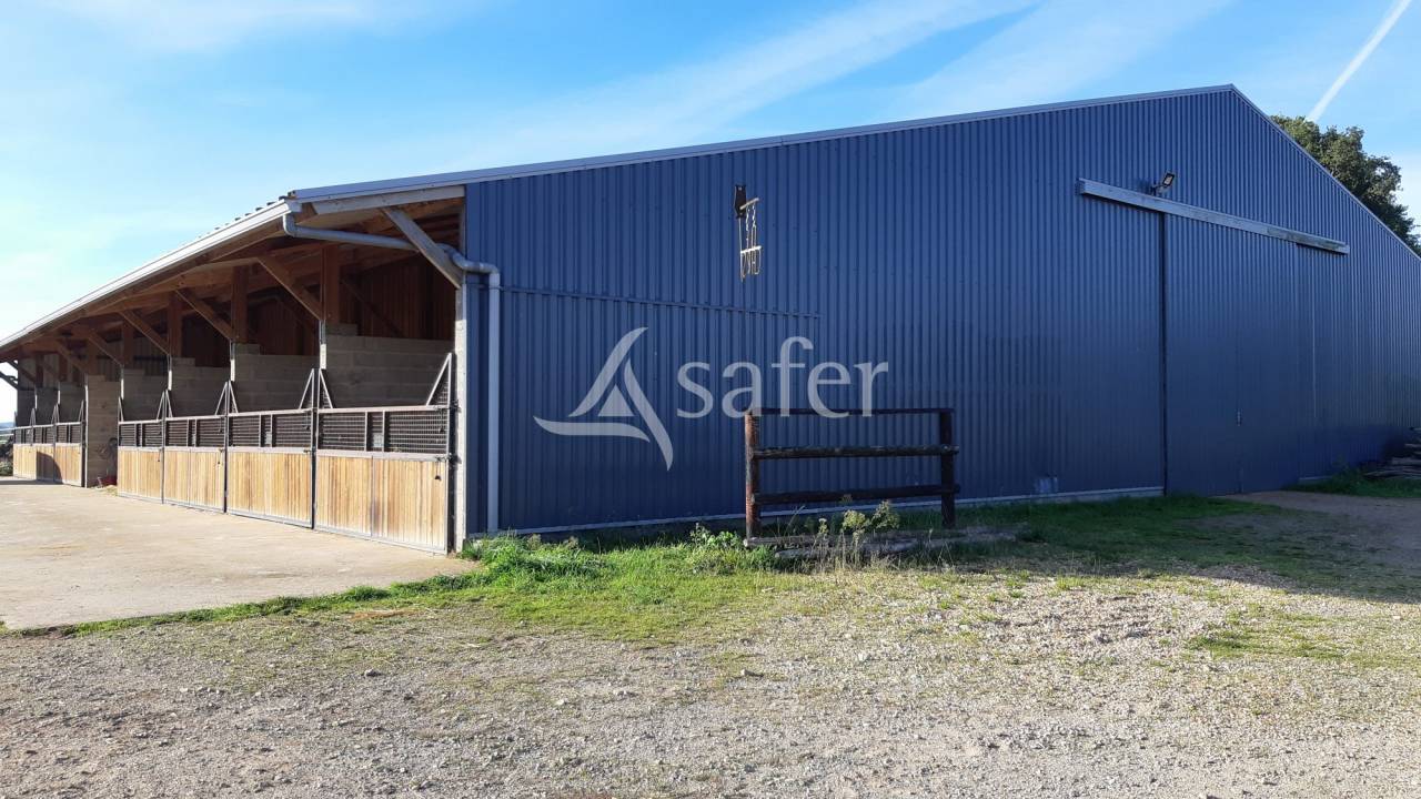 Propriet&agrave; equestre In vendita Mayenne