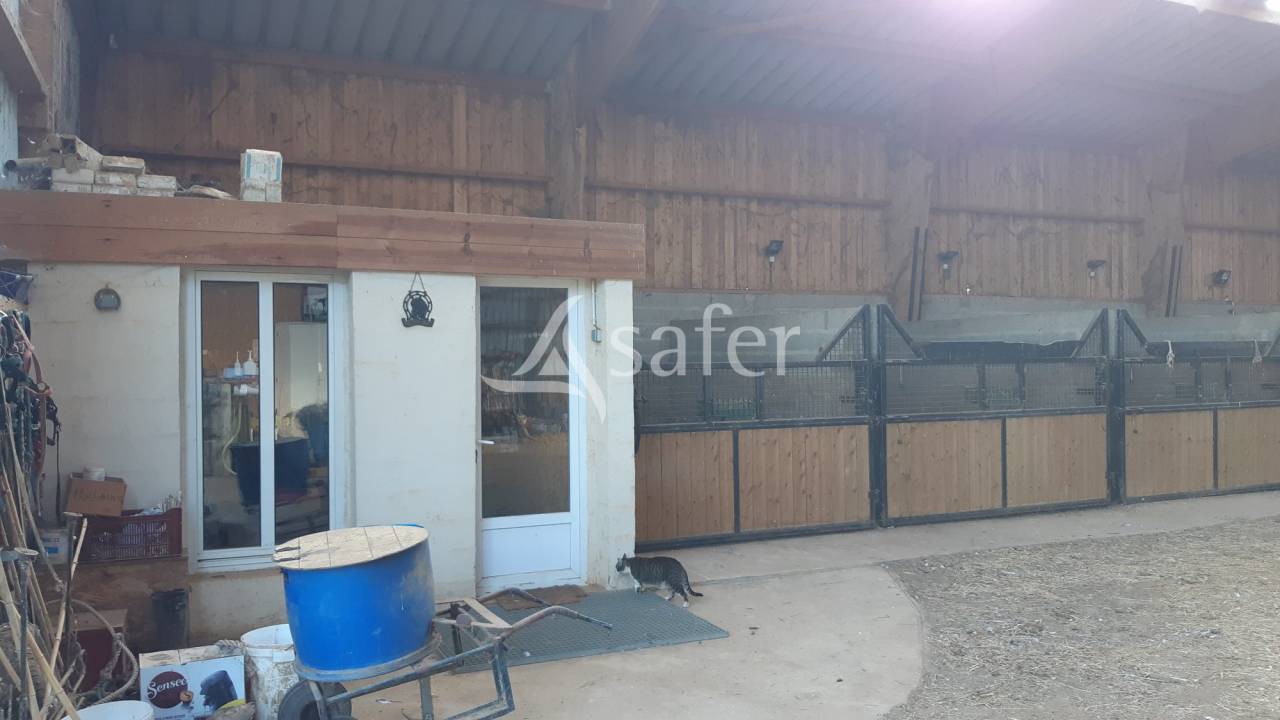 Propriet&agrave; equestre In vendita Mayenne